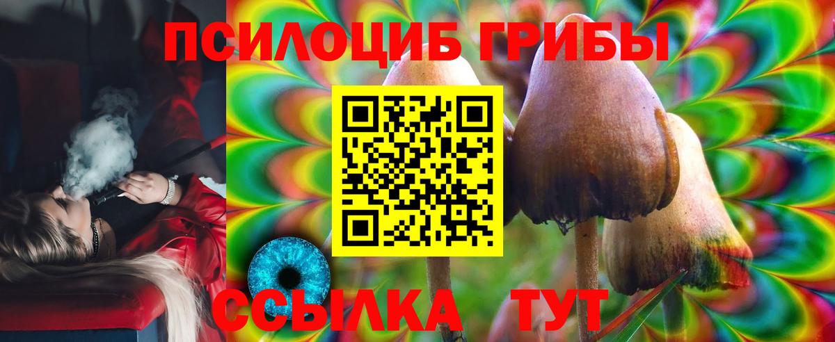 Галлюциногенные грибы Psilocybine cubensis Ливны